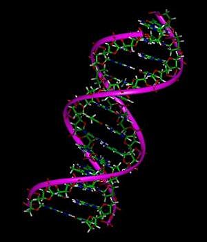 Aplicación de técnicas moleculares en genética.
