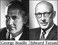 George Beadle y E. L. Tatum
