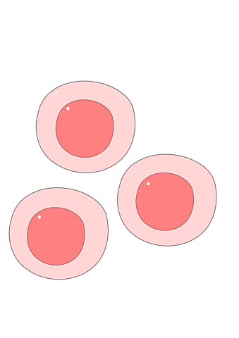 Fecundación de Óvulos
