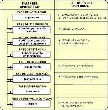 Organizacion de la teoria del aprendizaje