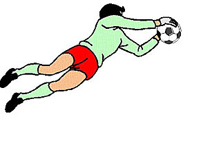 Em fitxen de porter federat.