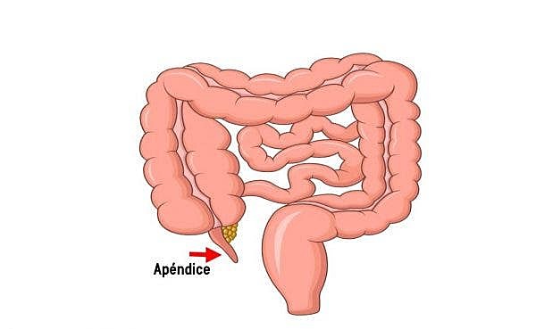 M'operen de l'apèndix