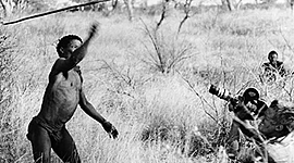 Timeline: Africa Meridional