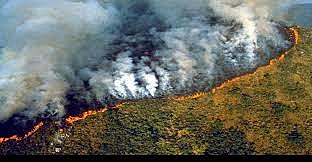 Incendi de l'Amazones (climàtic)