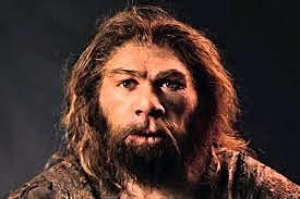 Homo Neandertal