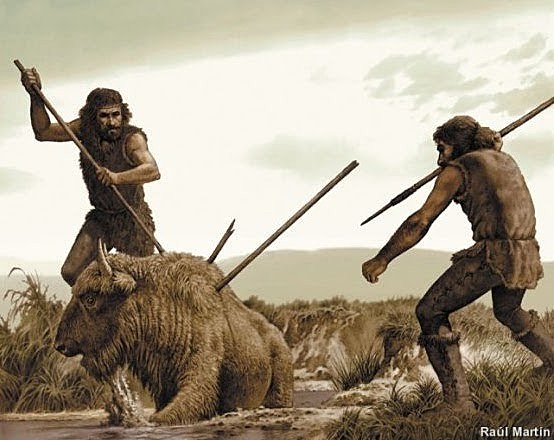 Homo Sapiens Sapiens