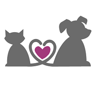 Timeline: Orígenes y Estudios Etológicos