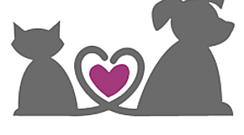 Timeline: Orígenes y Estudios Etológicos