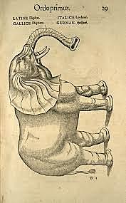 Descripción de animales