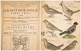 Se realizan estudios sobre la taxonomía de los animales