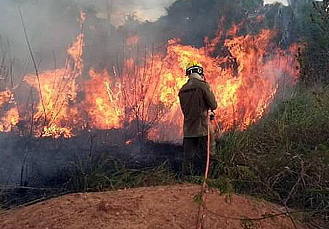 Es crema l’Amazones