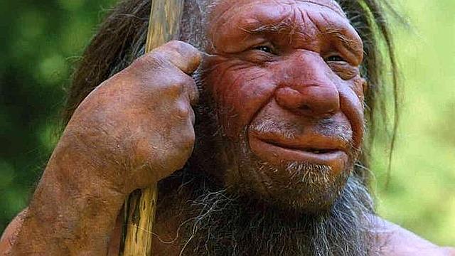 Hommo neanderthalensis