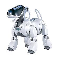 AIBO