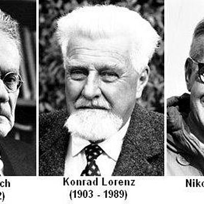 Timeline: ANTECEDENTES HISTÓRICOS DE LA ETOLOGÍA