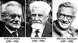 Timeline: ANTECEDENTES HISTÓRICOS DE LA ETOLOGÍA