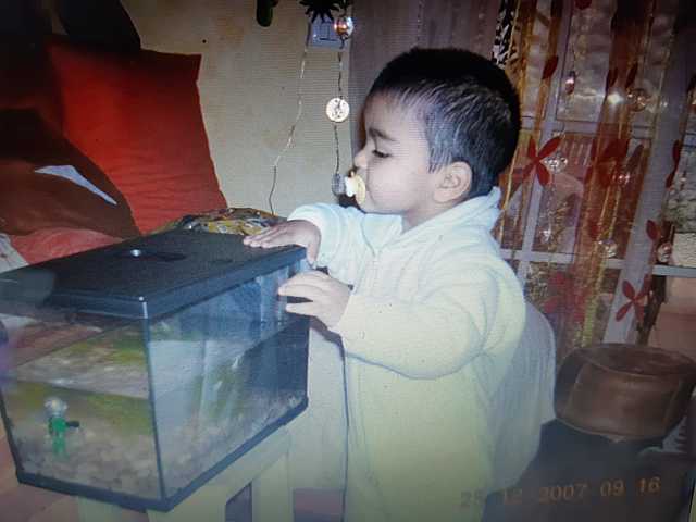 Primera mascota que me regalaron.