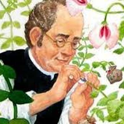 Timeline: Linea del tiempo "Historia y antecedentes de la genética"