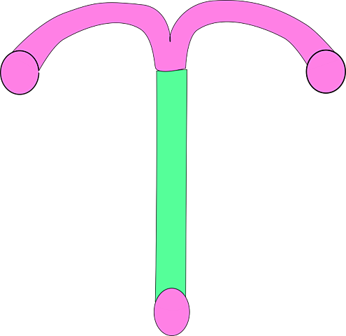 Dispositivo intrauterino