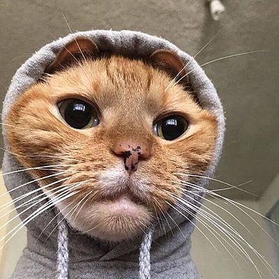 Timeline: España 1500-1700