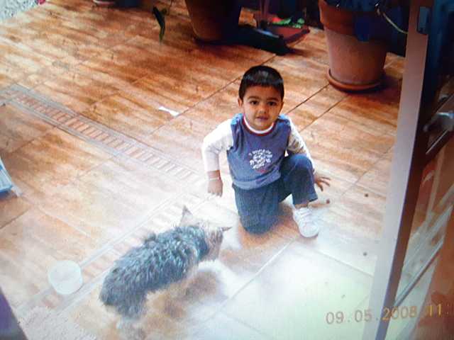 Se muere mi perrita de la infancia