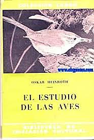 Científico Europeo realizo el estudio del comportamiento en aves