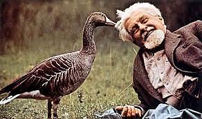 Robert A. Hinde publica un texto titulado "conducta animal"