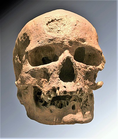 Hombre de Cromañón (Homo Sapiens Sapiens).