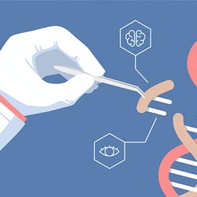 Timeline: HISTORIA DE LA GENETICA