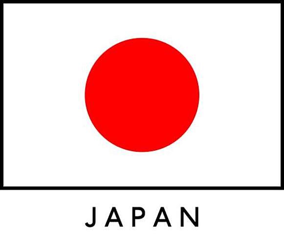 ASOCIACIÓN  ERGONÓMICA  INTERNACIONAL ASOCIACIÓN  ERGONÓMICA  INTERNACIONAL SOCIEDAD ERGONÓMICA DE INVESTIGACIÓN CIENTÍFICA JAPONESA
