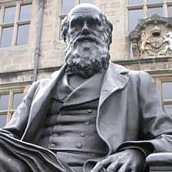 Early Scientific Contributions