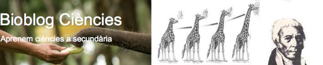 'Bioblog Ciències' blog