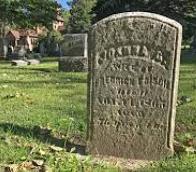 Oedipus kills King Laius.