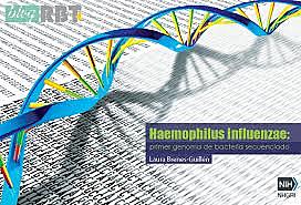 Haemophilus Influenzae