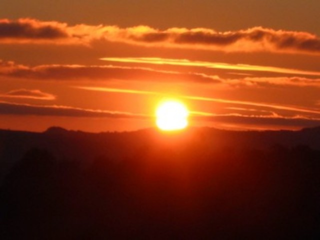 I was born in Mexico city.