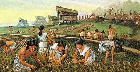 Agricultura y ganadería