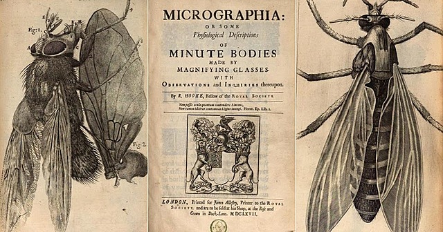 Publicación de "Micrographia" por Robert Hooke