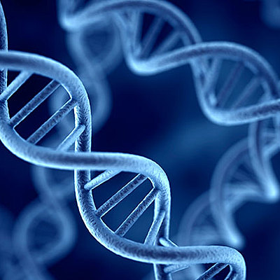 Timeline: Historia de la Biología Molecular