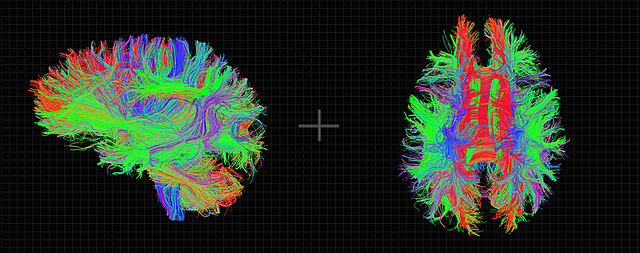 LA NEUROPSICOLOGÍA COMO ESPECIALIDAD MÉDICA