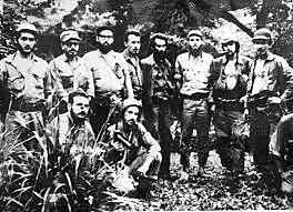 Los guerrilleros de la sierra maestra