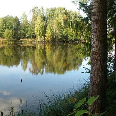 Timeline: Ботаническая экспедиция в ГПЗ "Кленовик".