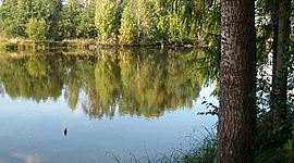 Timeline: Ботаническая экспедиция в ГПЗ "Кленовик".