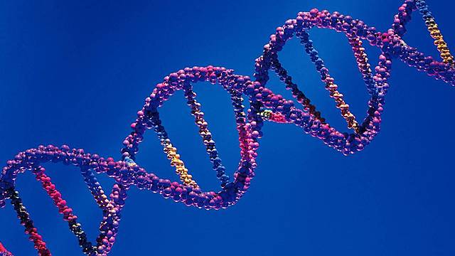 Hugo de Vries, Cari Correns y Eric Tschermak