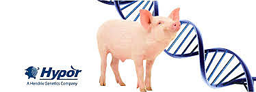 Primer congreso internacional de genética