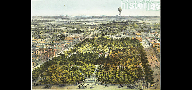 LICENCIA PARA CORTAR MADERA