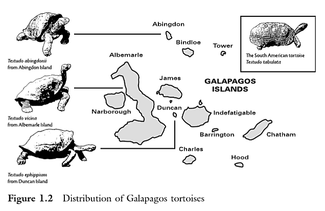 Published On the Origin of Species by Means of Natural Selection