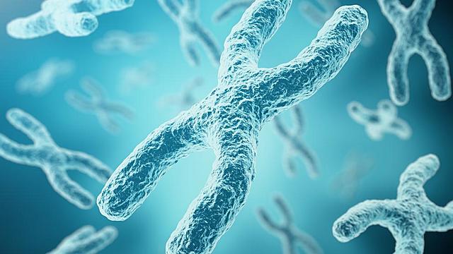 Oswald Avery, Colin McLeod y Maclyn McCarty