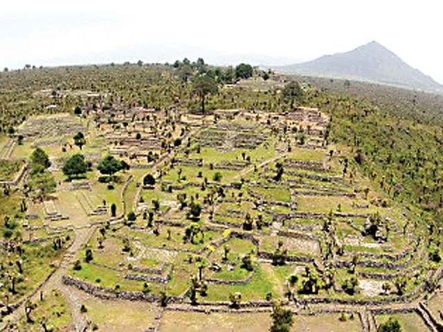 CONSERVACIÓN DE LOS BOSQUES