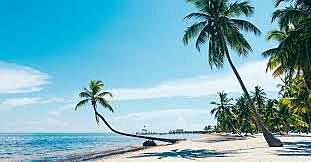 Go on family vacation