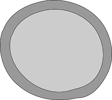 Anillo vagina NuvaRing