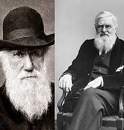 C. DARWIN Y ALFRED WALLACE